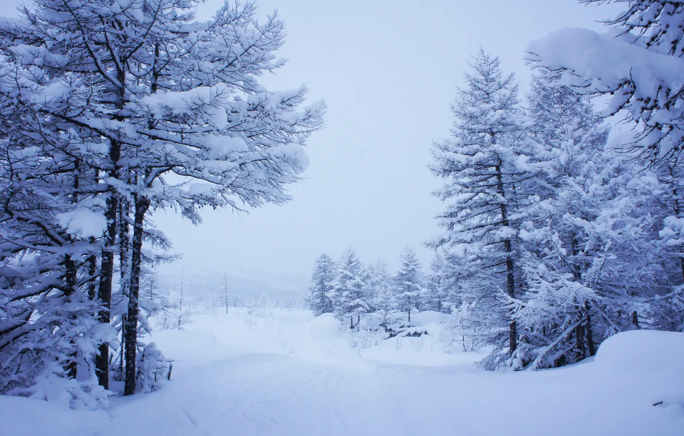 Фото обои зима, снег, Пейзаж, снежная долина