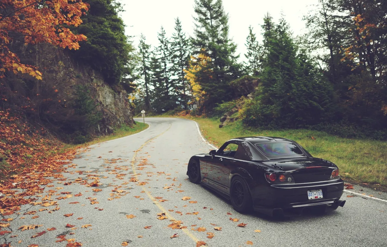 Фото обои дорога, осень, листья, деревья, Honda, S2000