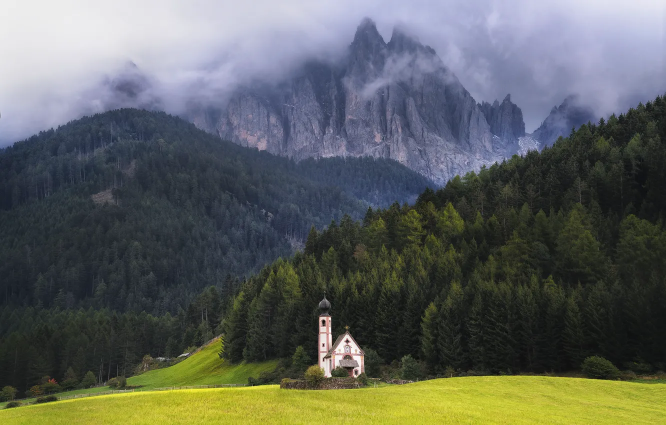 Фото обои лес, горы, Альпы, Италия, церковь, луга
