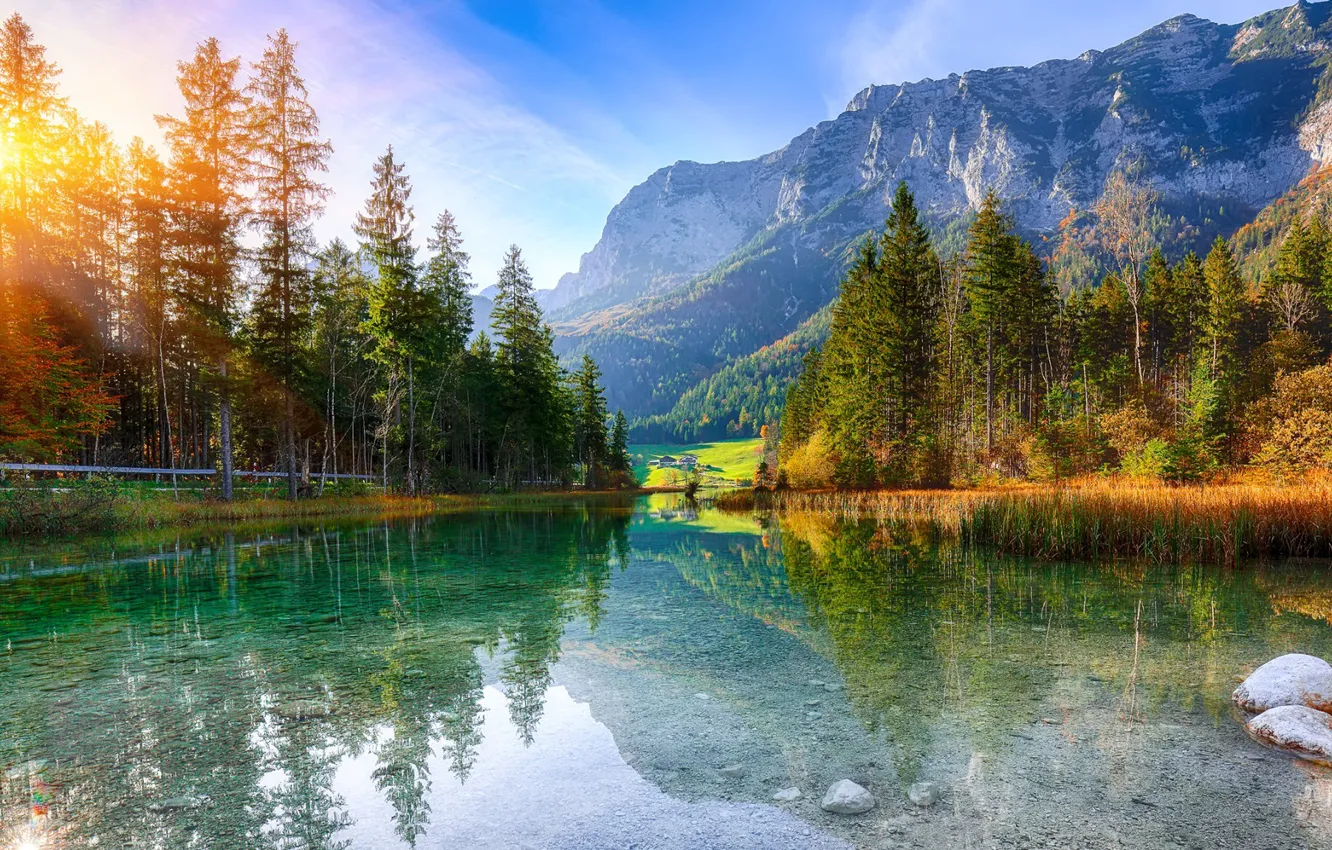 Фото обои осень, лес, солнце, горы, отражение, синева, камни, берег