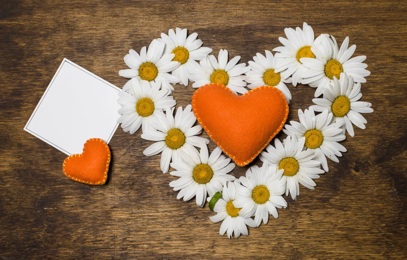 Фото обои любовь, цветы, сердце, ромашки, love, heart, wood, flowers