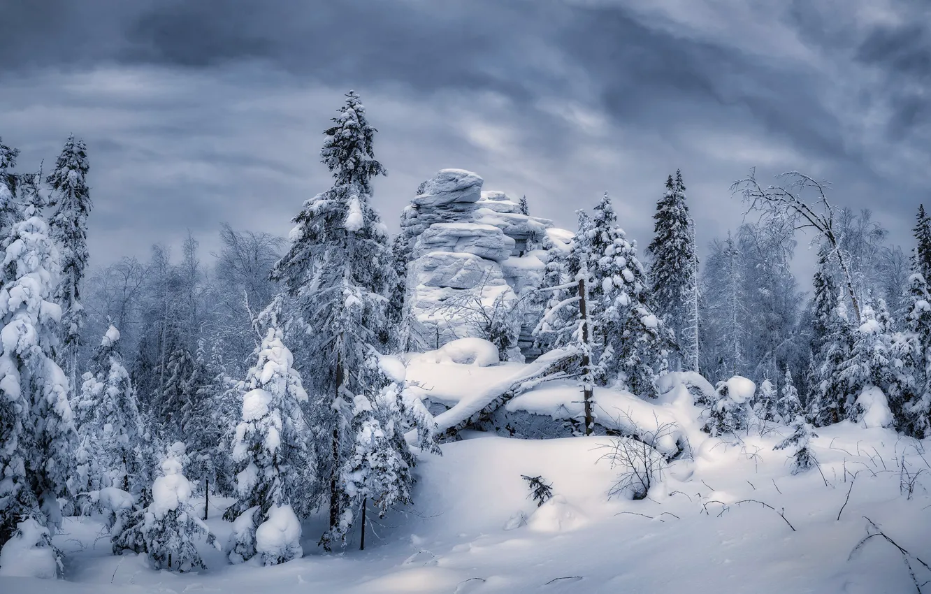 Фото обои зима, лес, снег, деревья, скала, сугробы, Россия, монохром