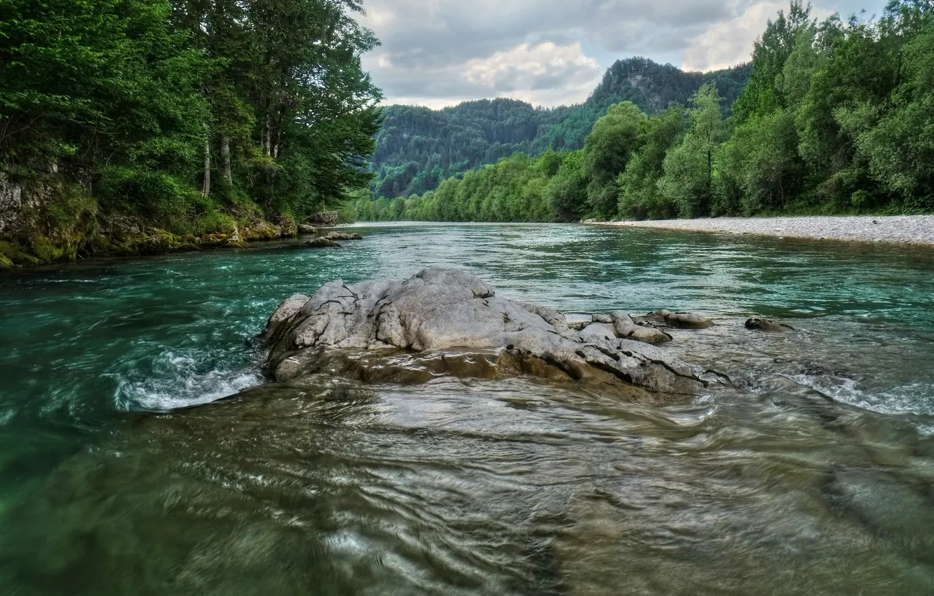 Фото обои Деревья, Река, Австрия, Камни, Nature, Austria, River, Trees