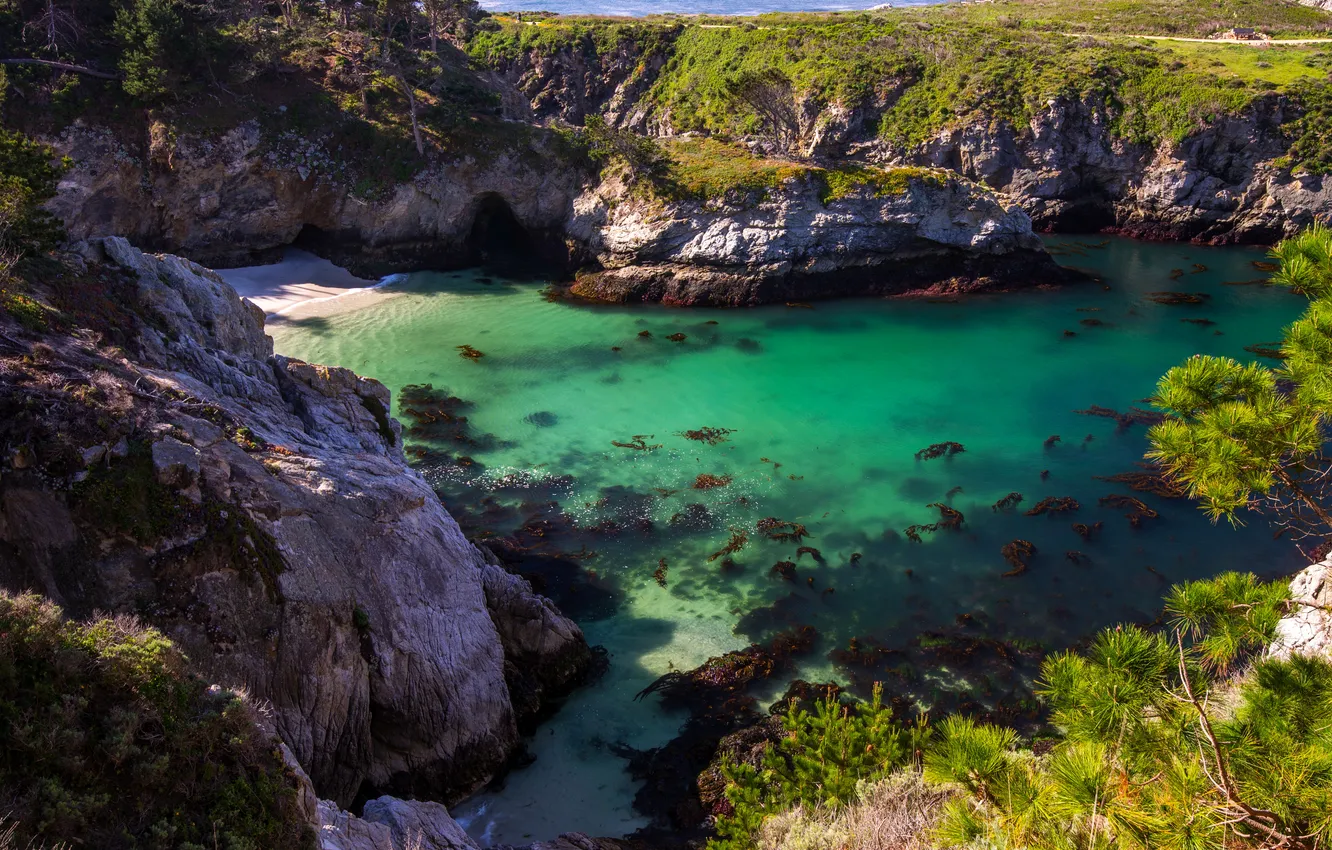 Фото обои море, камни, скалы, побережье, бухта, Калифорния, США, Point Lobos State Park