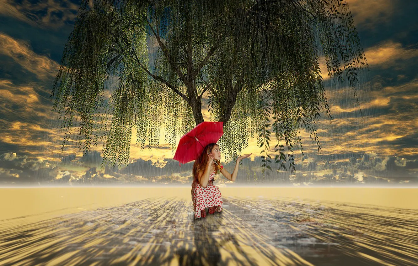 Фото обои дерево, зонт, арт, девочка, плакучая ива
