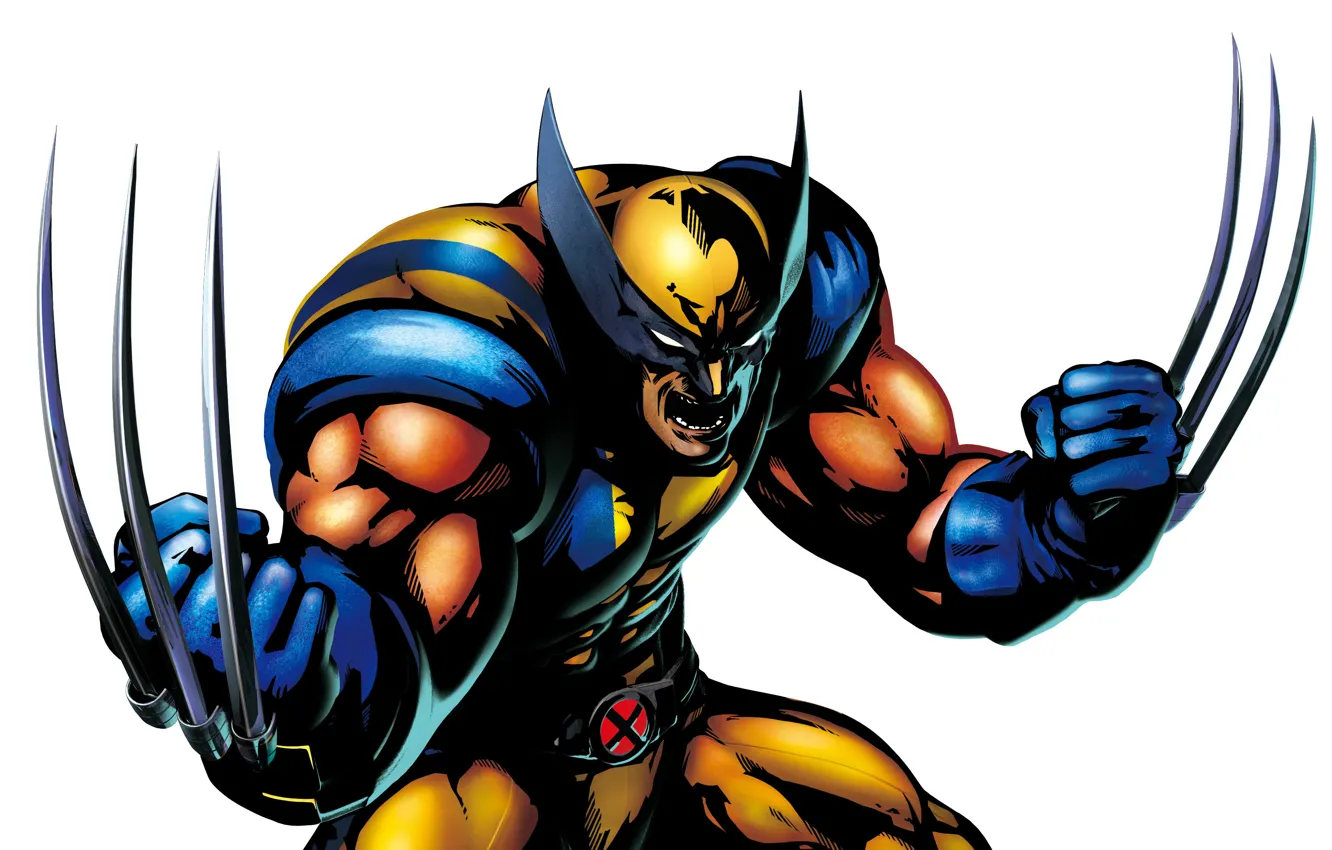 Фото обои когти, белый фон, Росомаха, Wolverine, X-Men, комикс, Marvel Comics, Люди Икс