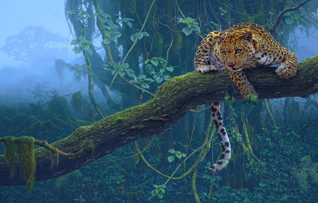 Фото обои тропики, дерево, хищник, ягуар