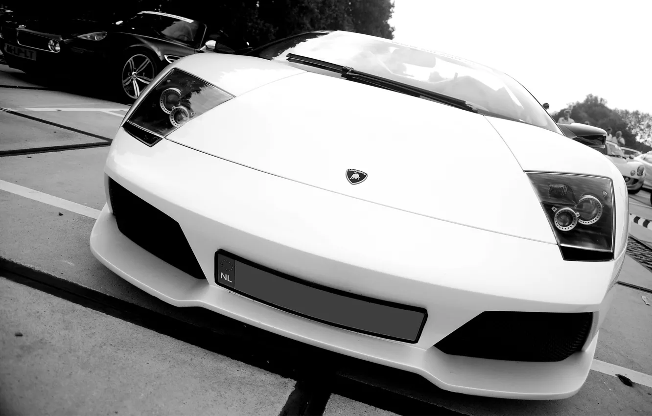 Фото обои auto, черно белое фото, Lamborghini murcielago