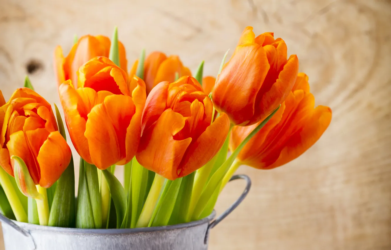 Фото обои листья, тюльпаны, горшок, оранжевые, крупным планом