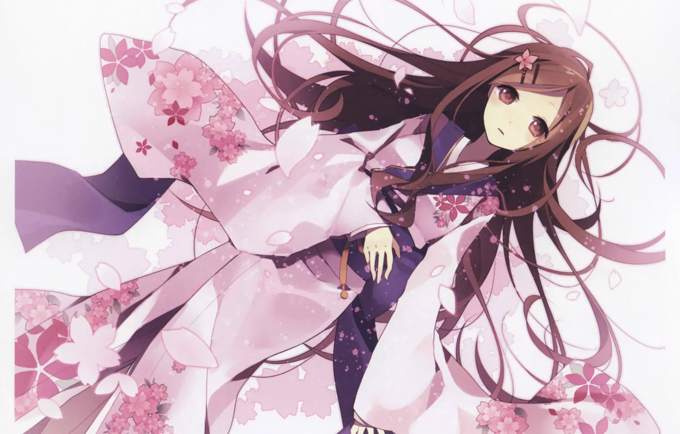 Фото обои девочка, белый фон, кимоно, длинные волосы, лепестки сакуры, лежит на спине