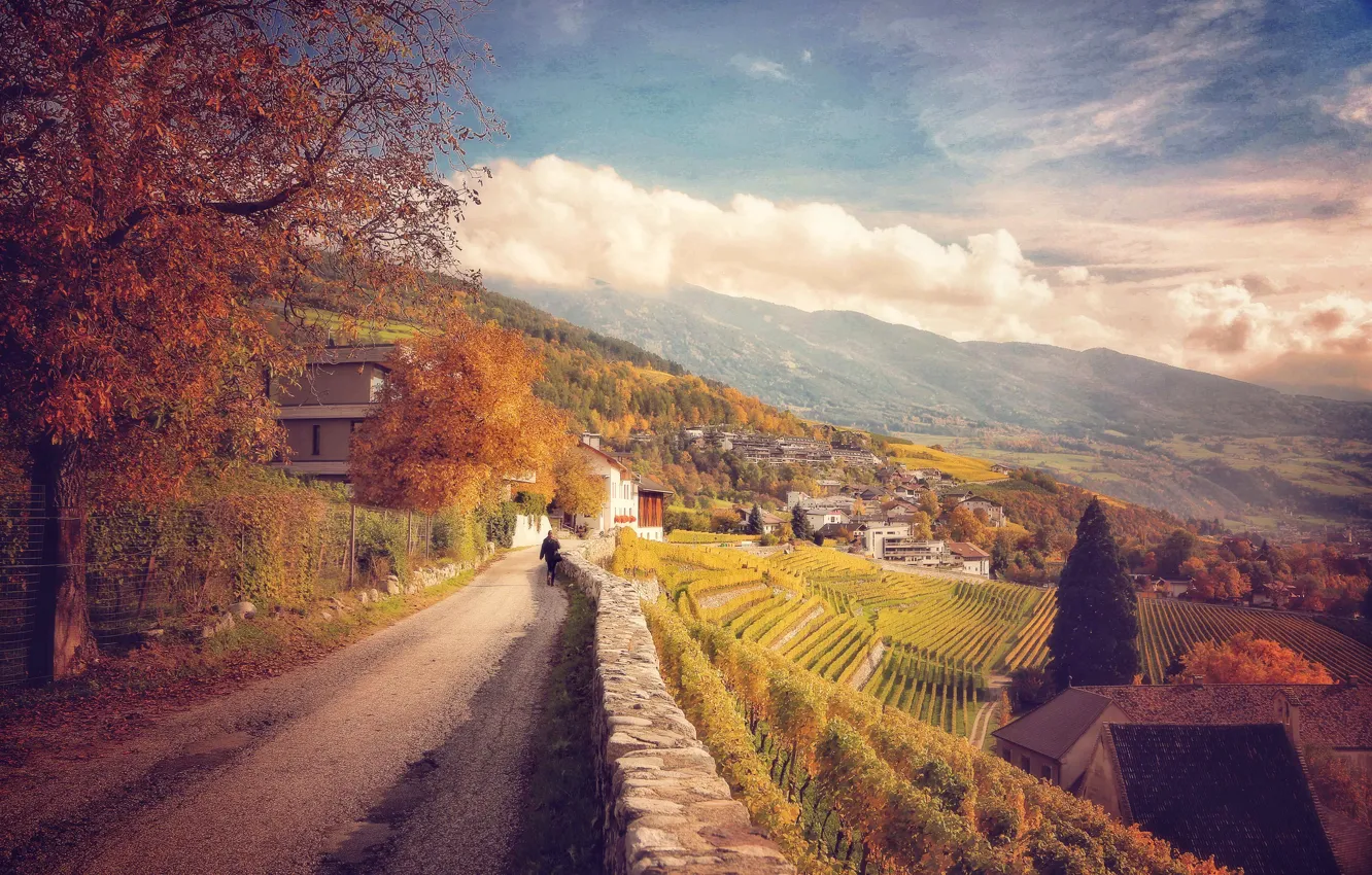 Фото обои дорога, осень, облака, деревья, пейзаж, горы, листва, склон