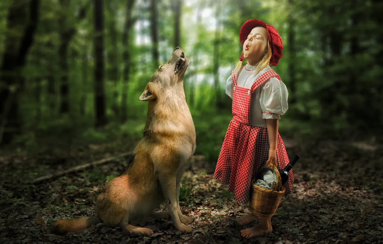 Фото обои лес, встреча, волк, ситуация, девочка, Красная Шапочка