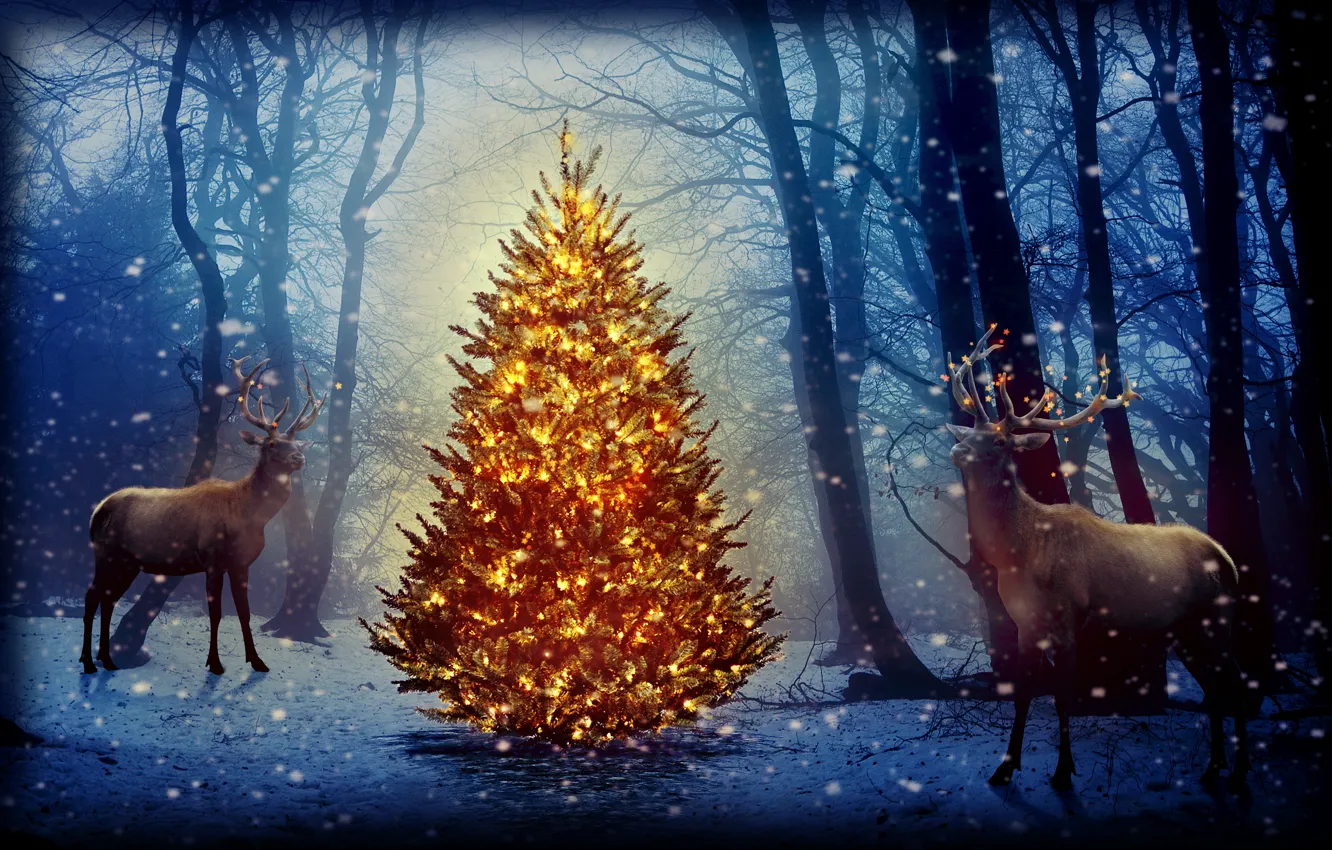 Фото обои лес, снег, деревья, новый год, ёлка, олени, гирлянды