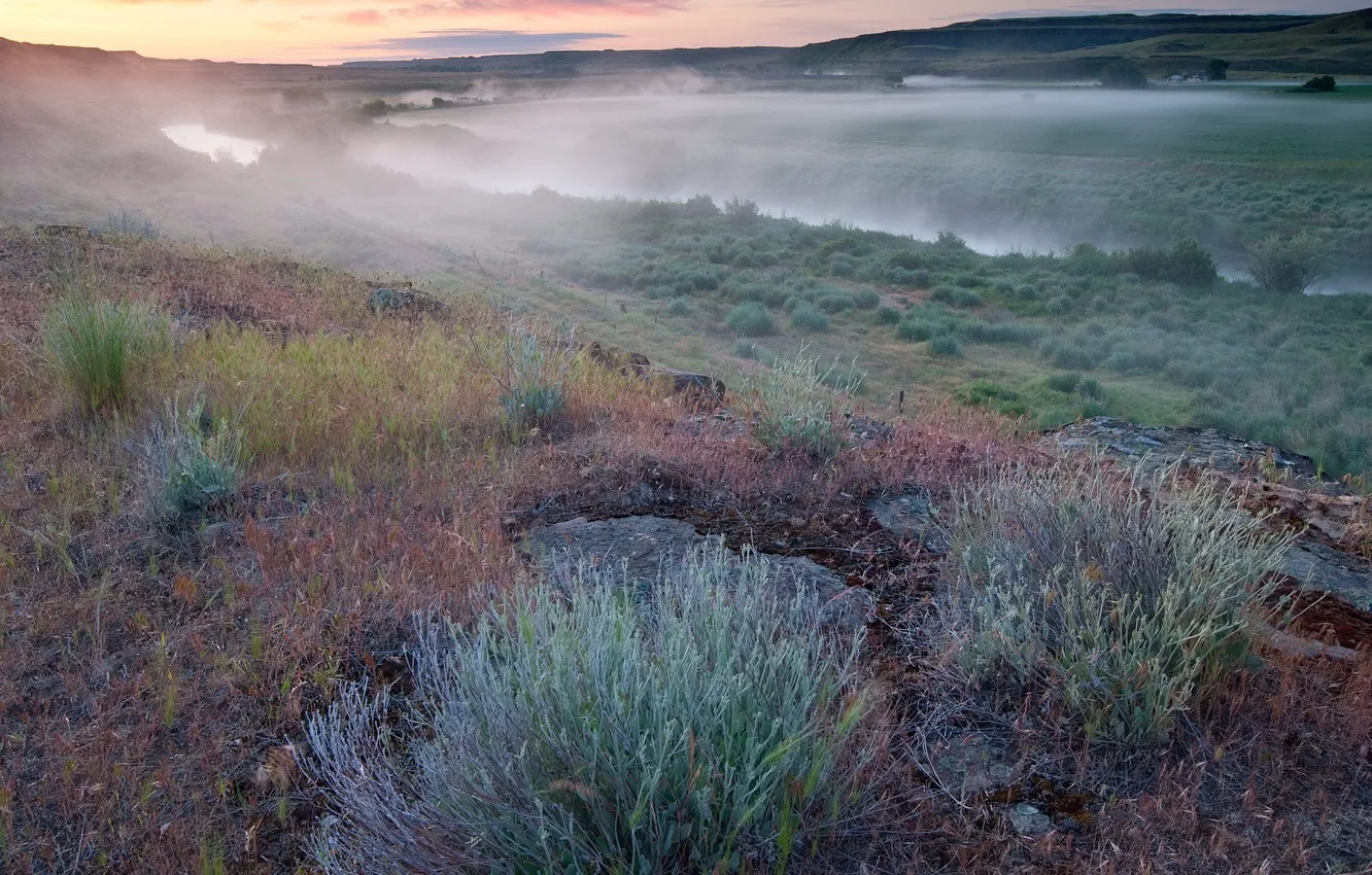 Фото обои поле, трава, туман, река, Утро
