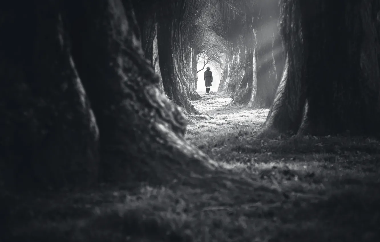 Фото обои dark, white, forest, woman