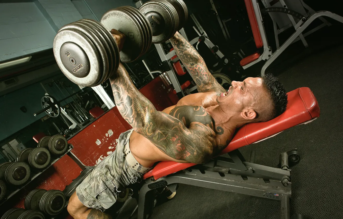 Фото обои Adam, gordon, bodybuilder