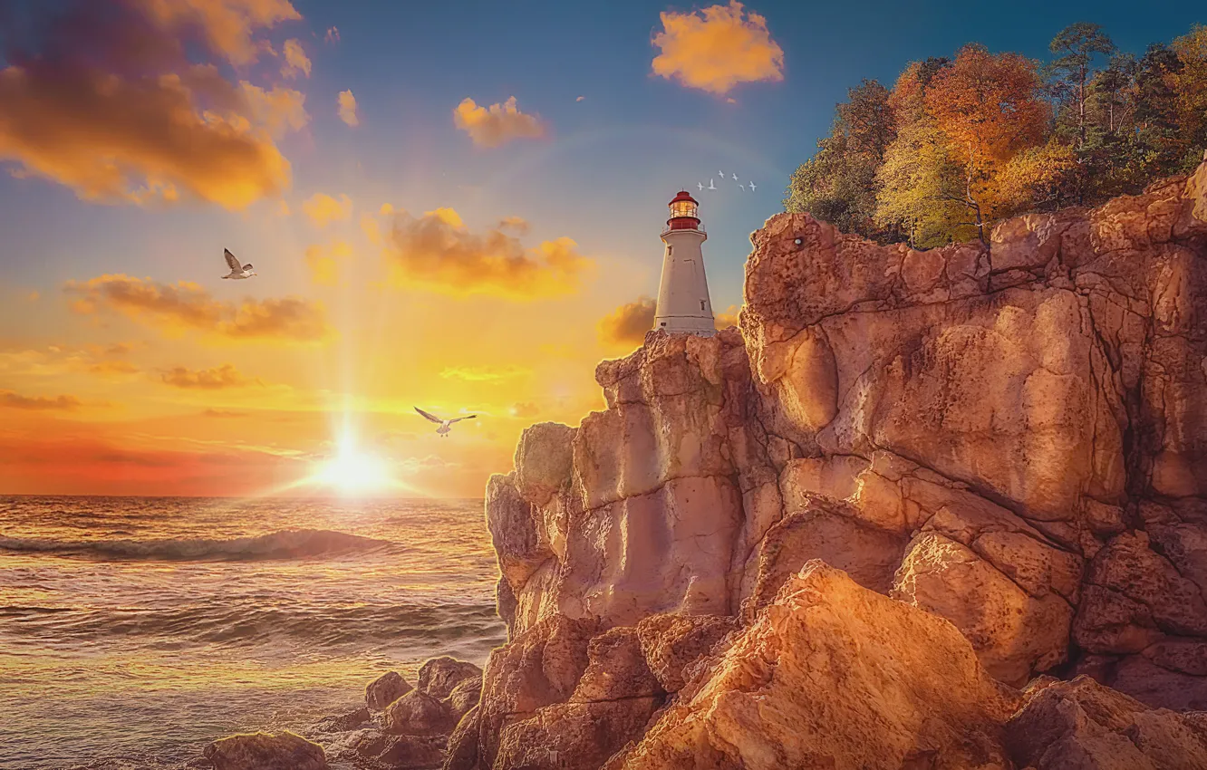 Фото обои камни, скалы, берег, маяк, чайки, утро, восход солнца, лучи света