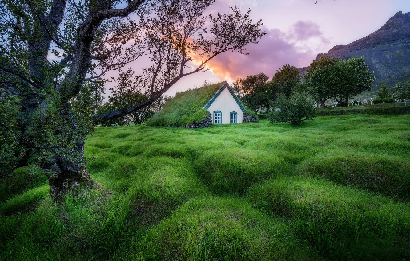 Фото обои трава, деревья, церковь, Исландия, Iceland, Hof, Hofskirkja Church, Хоф