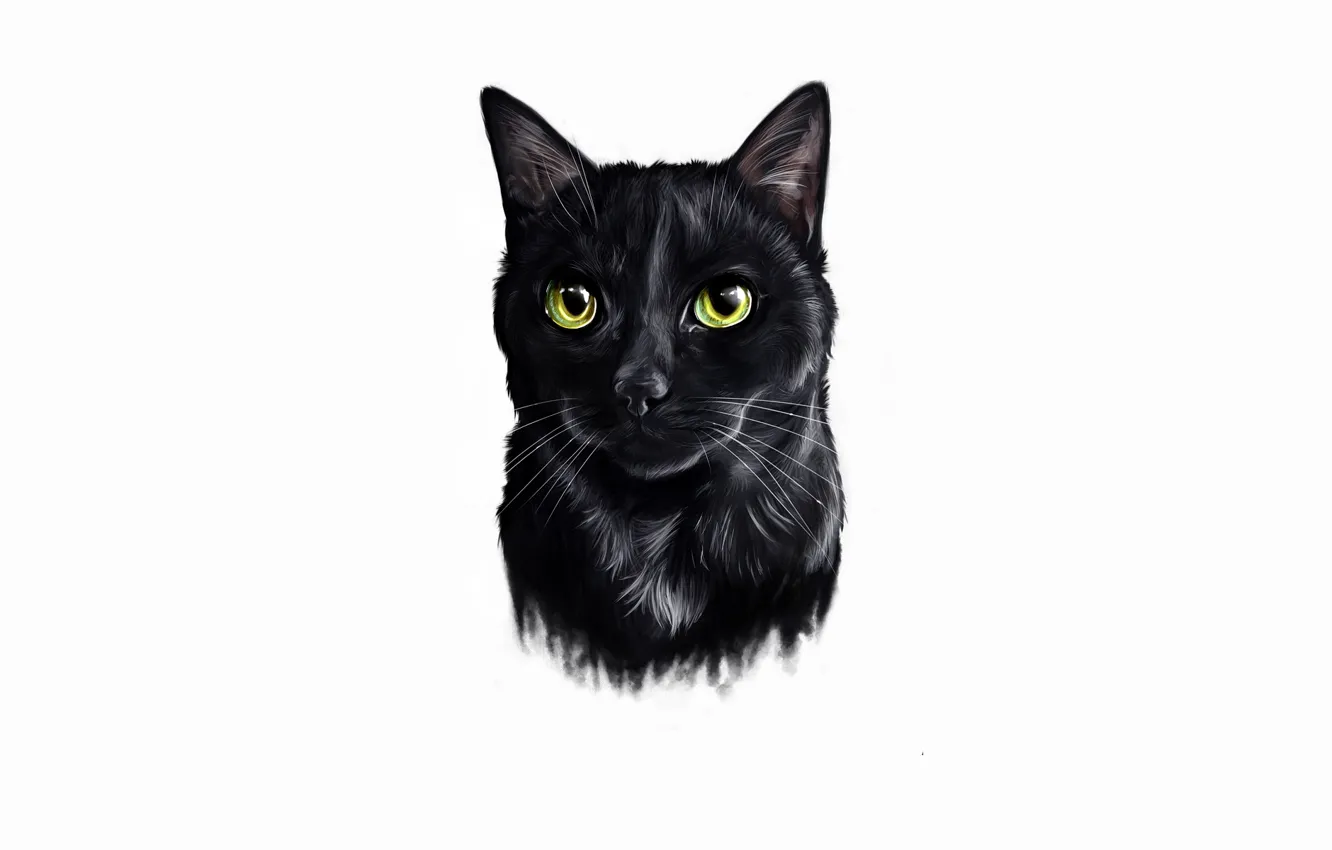 Фото обои кошка, кот, черный, минимализм, светлый фон, cat