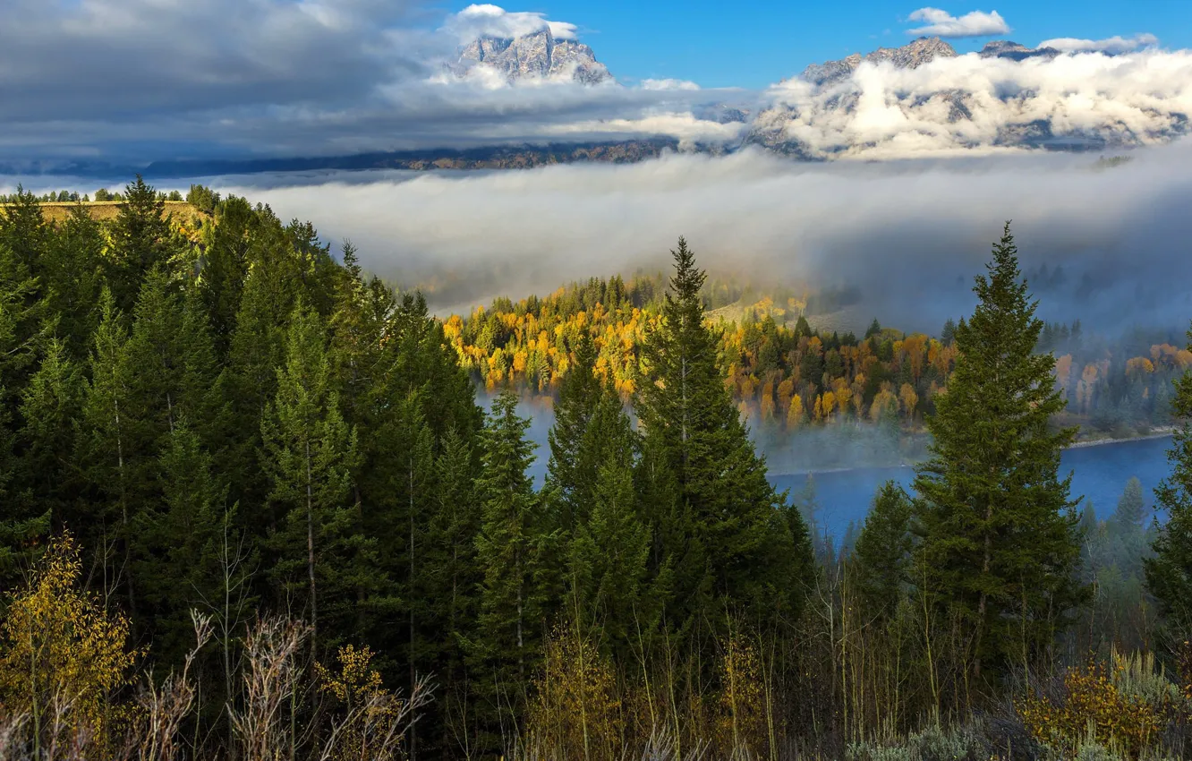 Фото обои лес, облака, горы