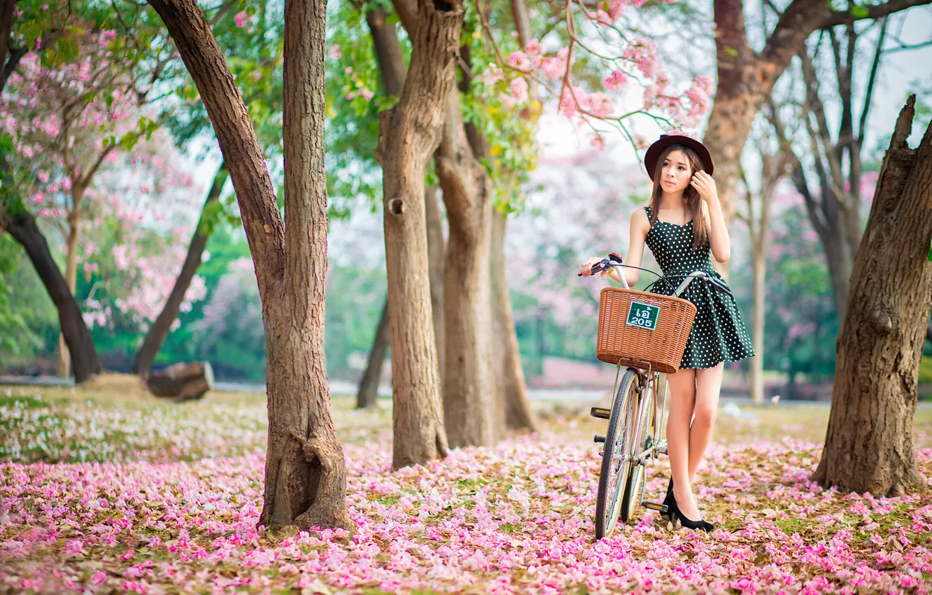Фото обои девушка, велосипед, весна, цветение, pink garden