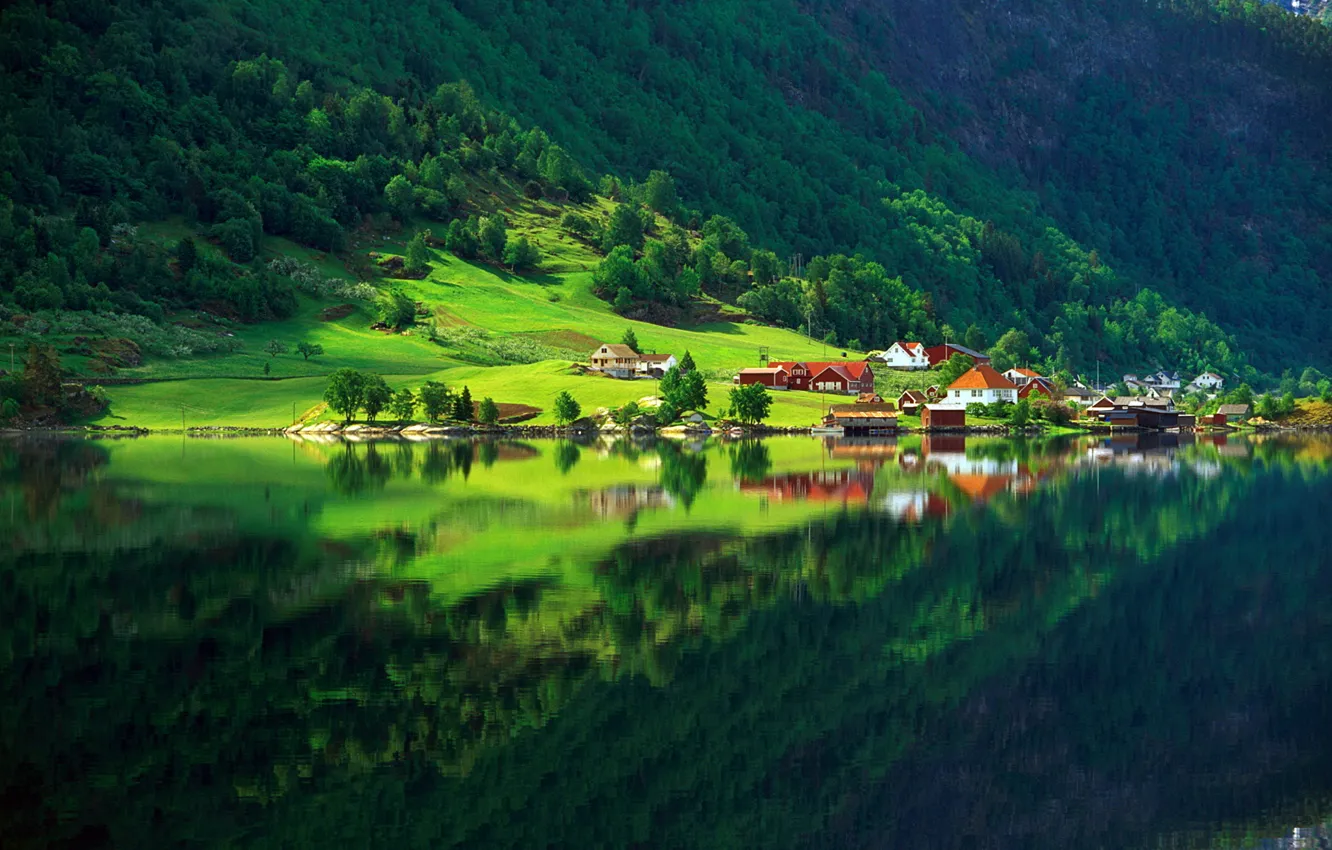 Фото обои зелень, лес, лето, озеро, отражение, дома, Природа, деревня