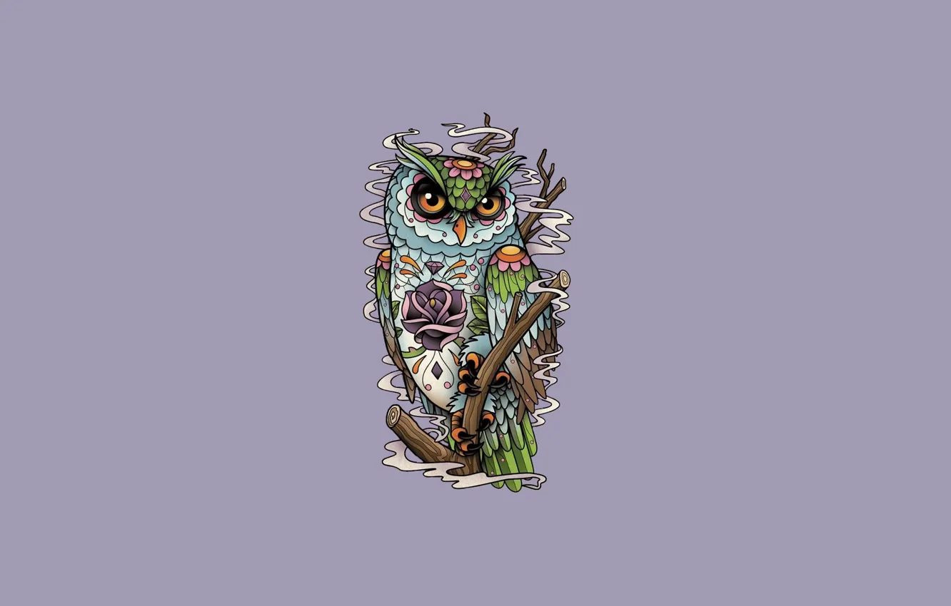 Фото обои цветок, сова, птица, минимализм, ветка, owl