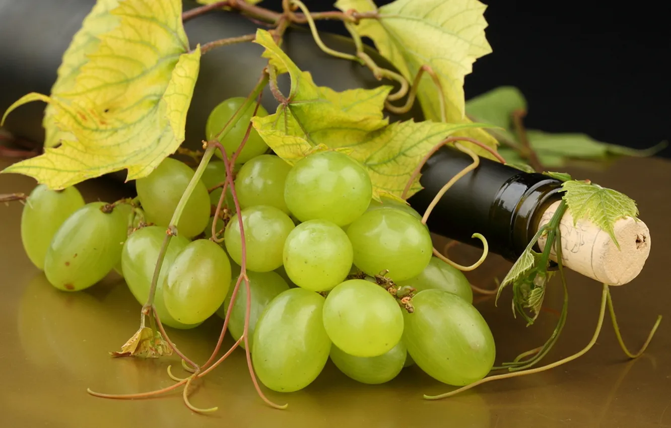 Фото обои белый, листья, вино, бутылка, виноград, пробка, усики, корковая