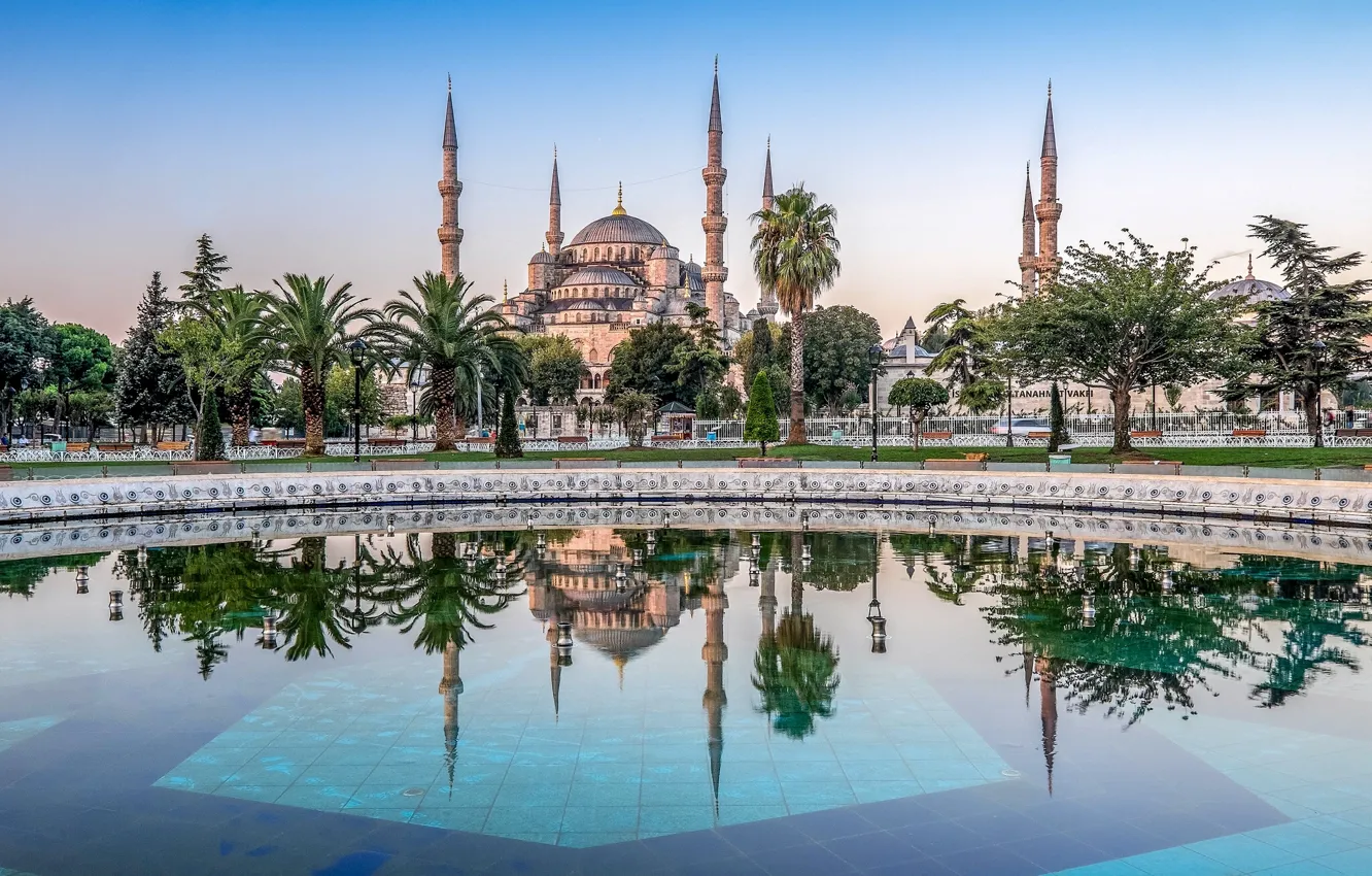 Фото обои деревья, отражение, пальмы, бассейн, Стамбул, Мечеть Султана Ахмета, Турция, Istanbul