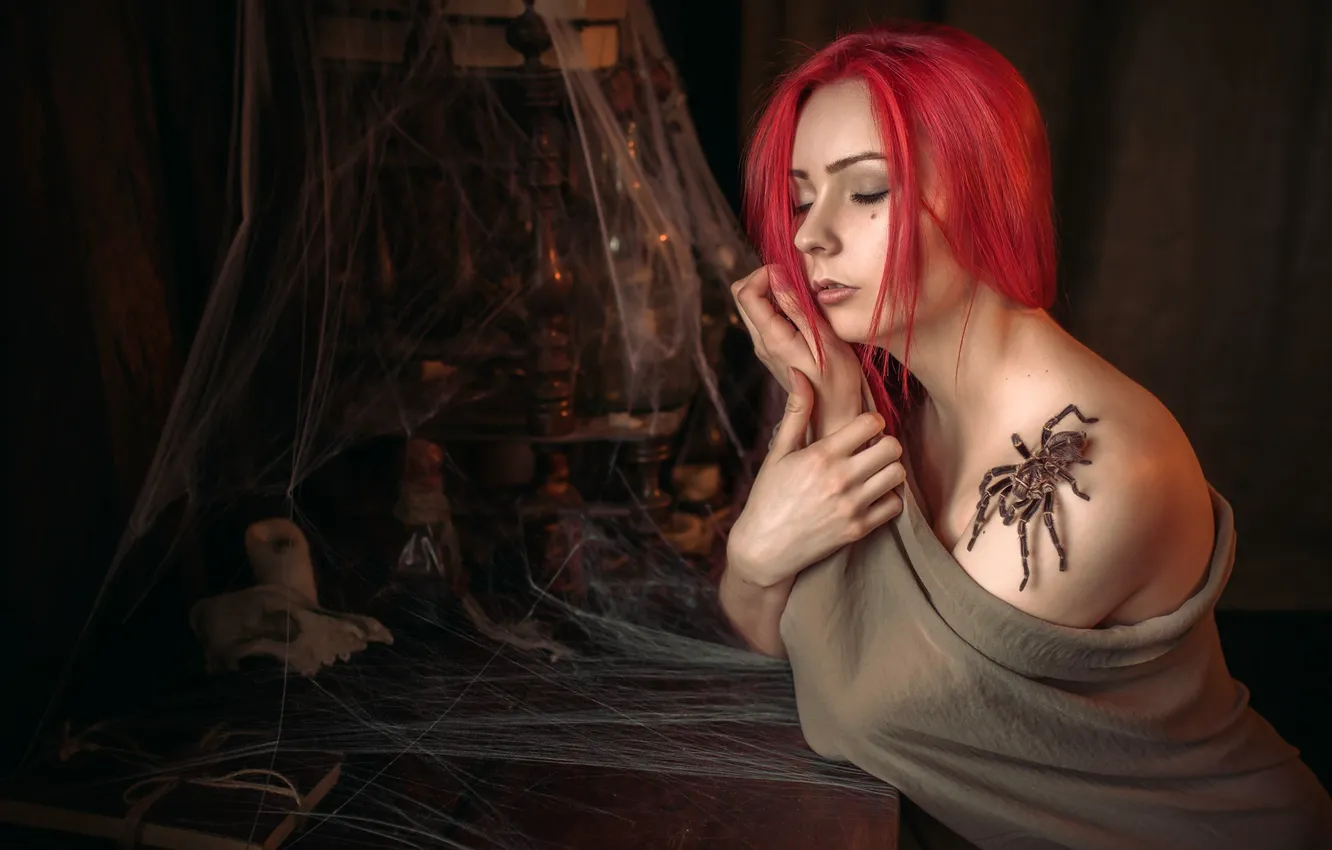 Фото обои девушка, паутина, паук, плечо, Альберт Лесной