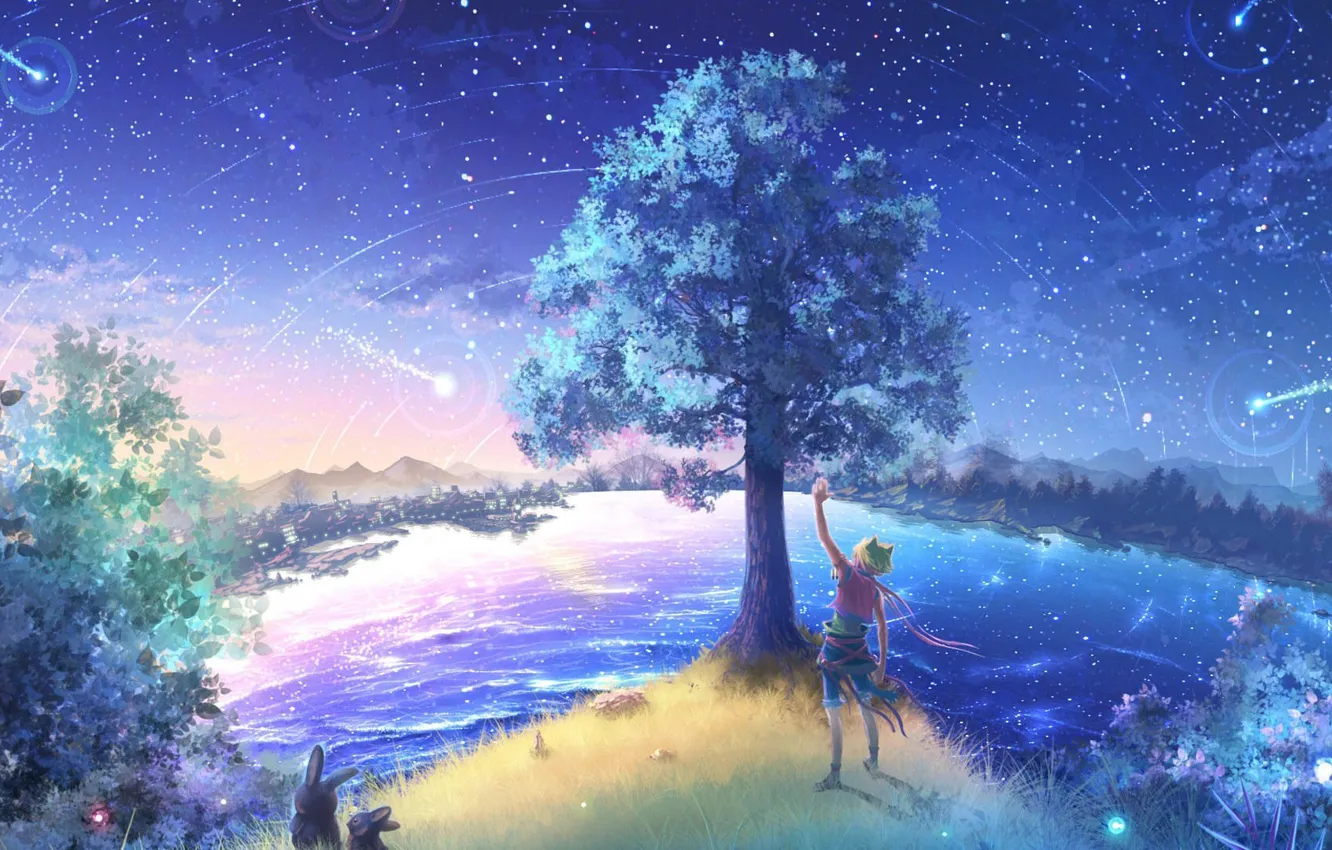 Фото обои небо, ночь, природа, звёзды, аниме, арт