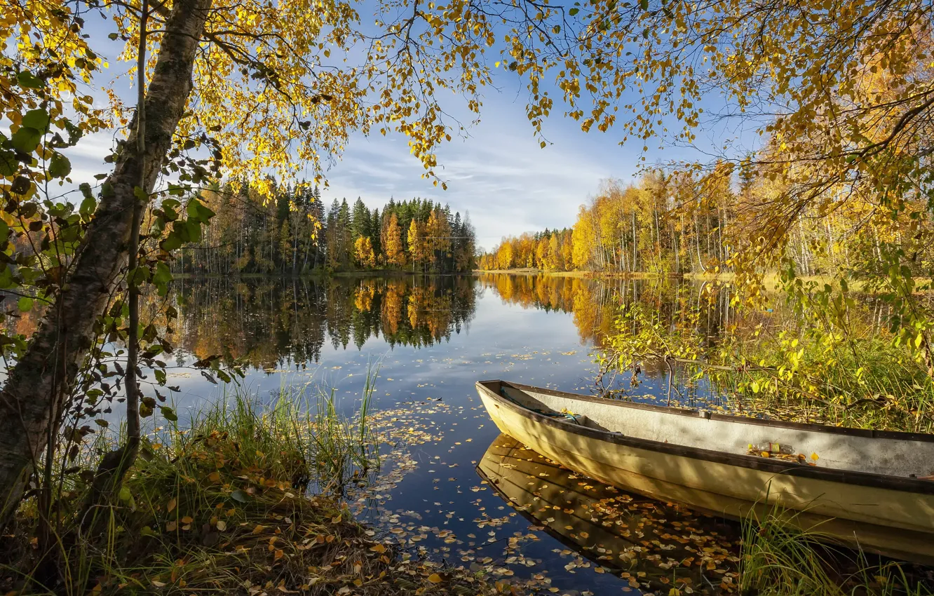 Фото обои лес, лето, озеро, лодка