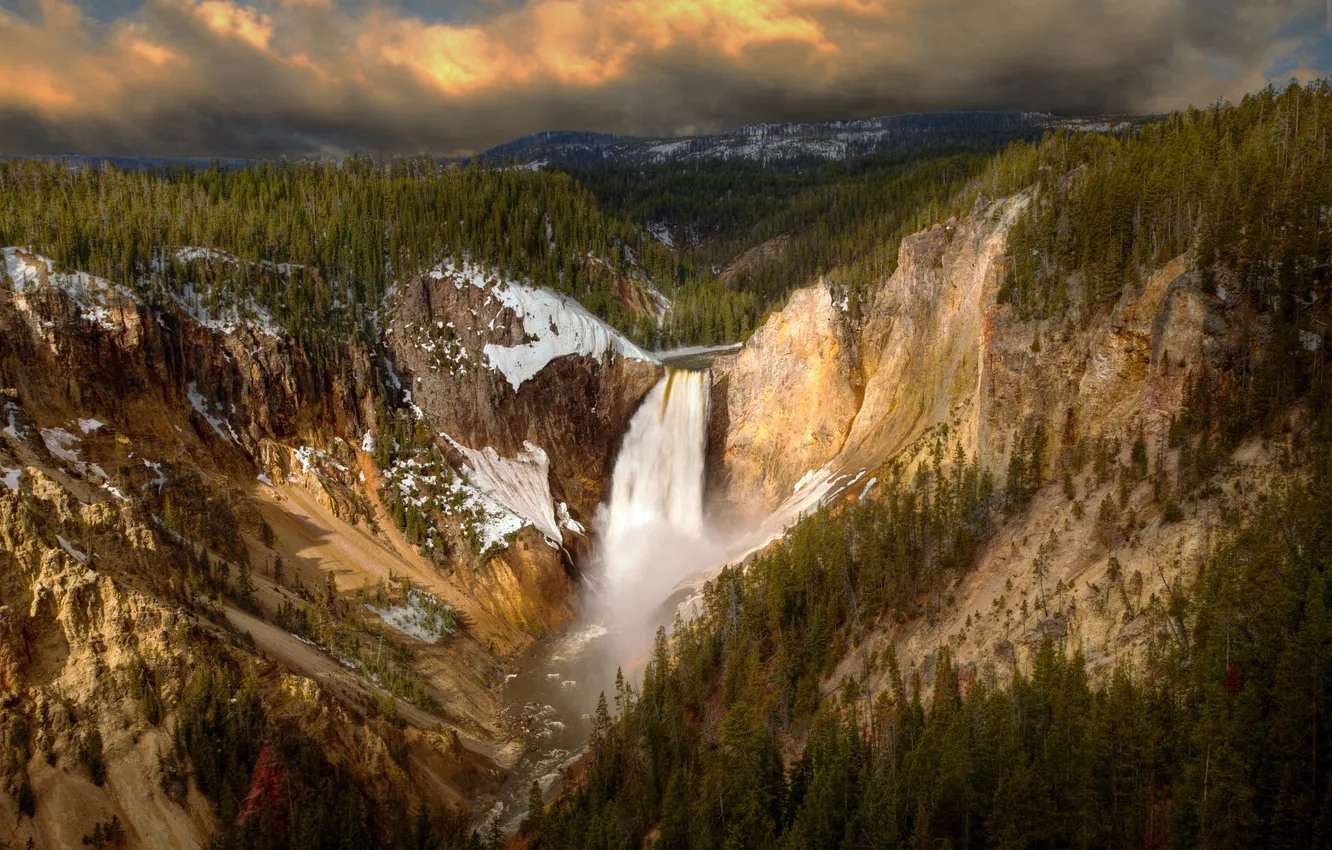 Фото обои лес, водопад, каньон, Wyoming, национальный парк, Lower Falls, USА, Canyon Junction