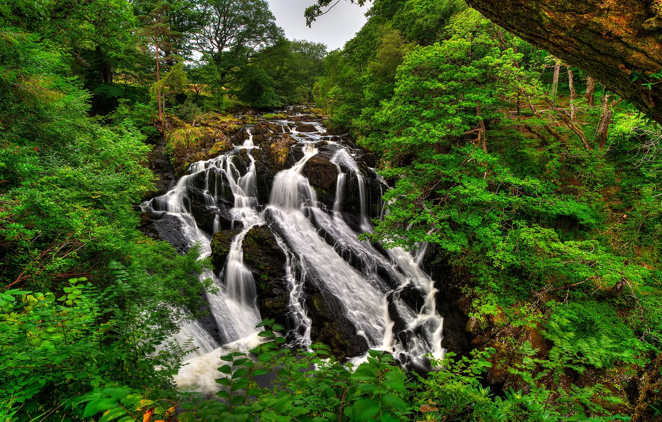 Фото обои лес, деревья, камни, водопад, поток, великобритания, сноудония