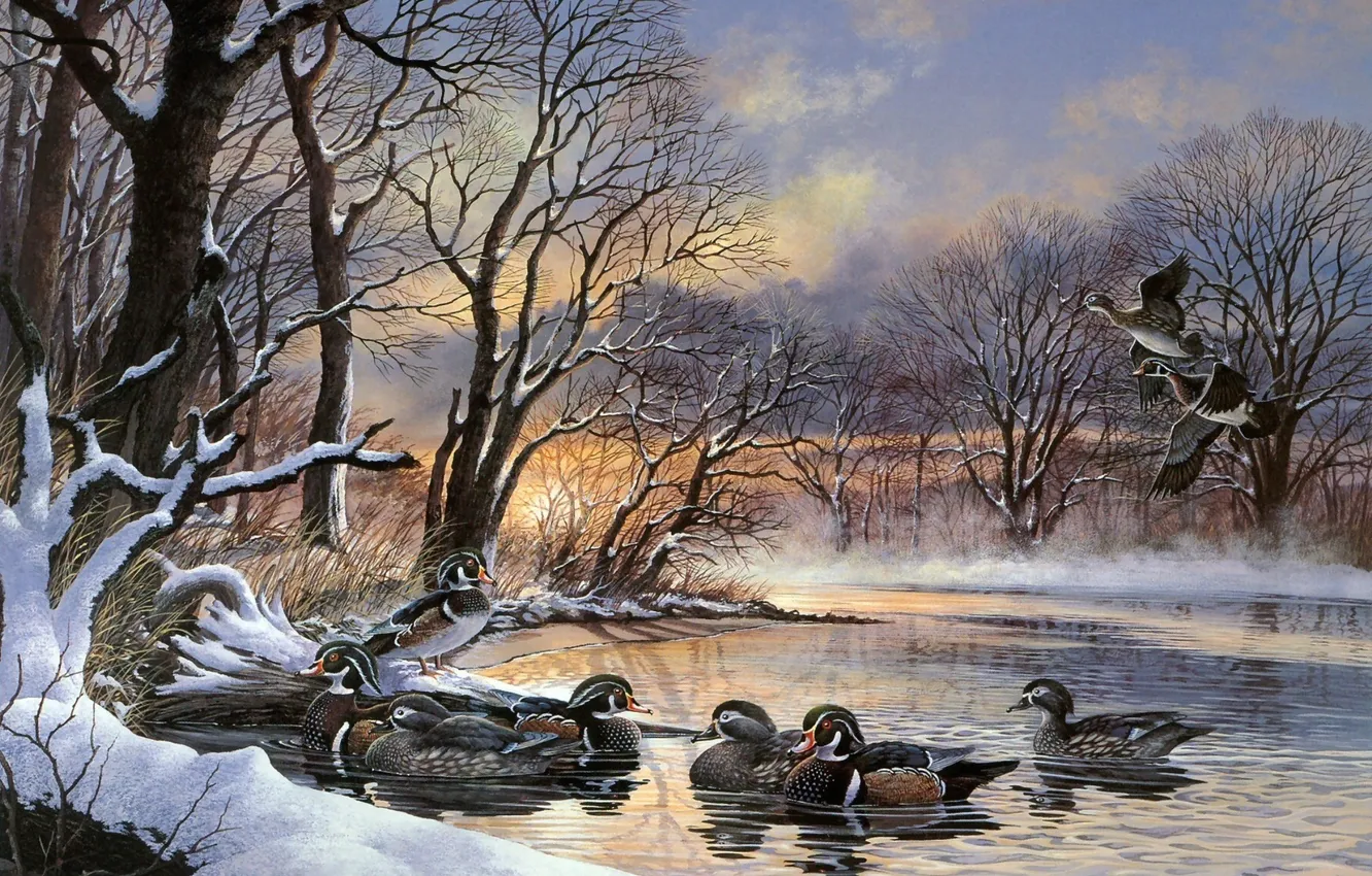 Фото обои зима, закат, озеро, рассвет, утки, живопись, стая уток, полынья