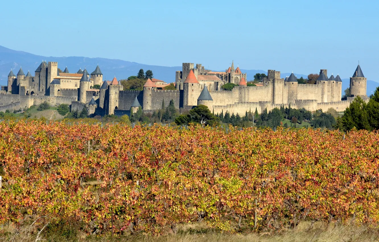 Фото обои France, Carcassonne, vineyards, Aude, Occitanie