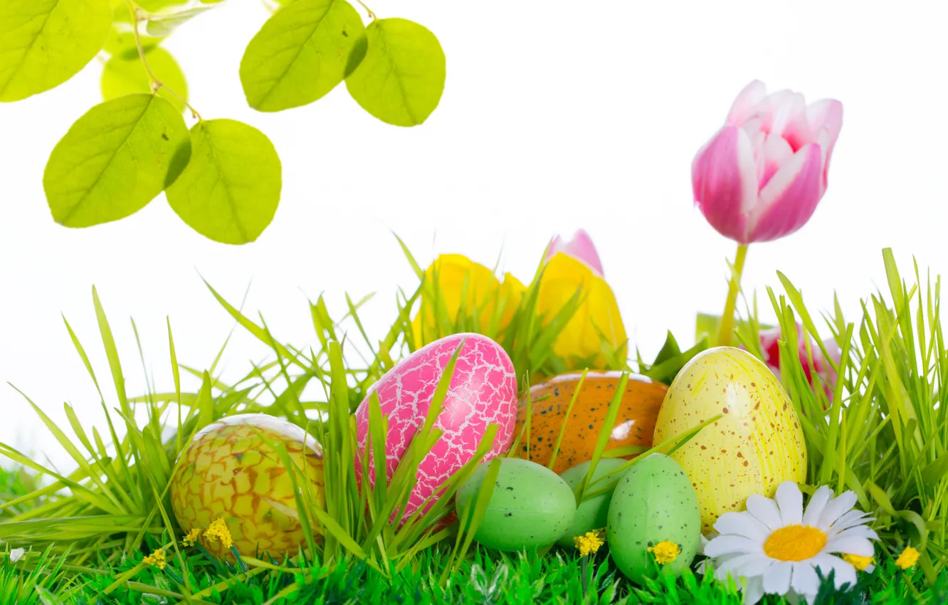 Фото обои цветы, яйца, Пасха, тюльпаны, Easter