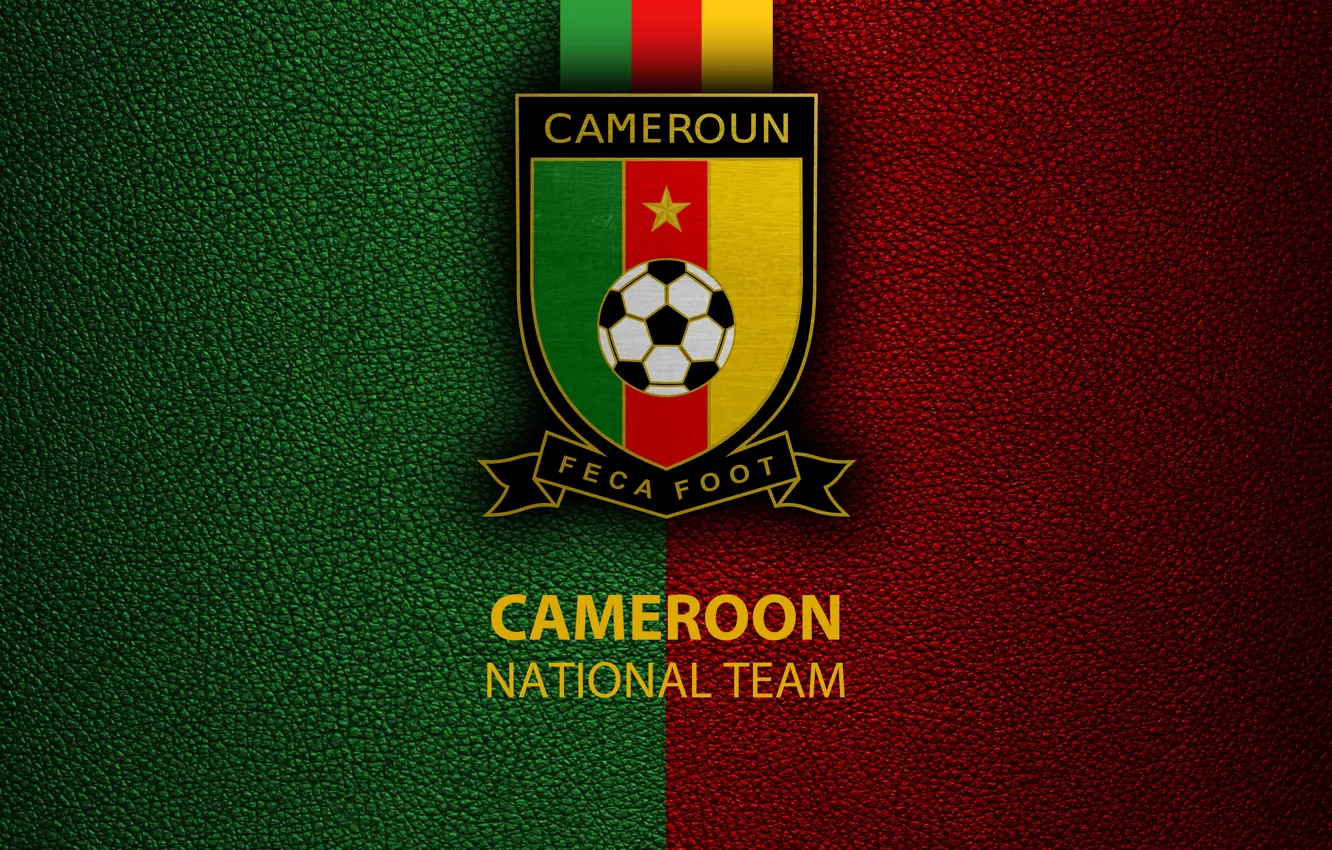 Фото обои wallpaper, sport, logo, football, National team, Cameroon