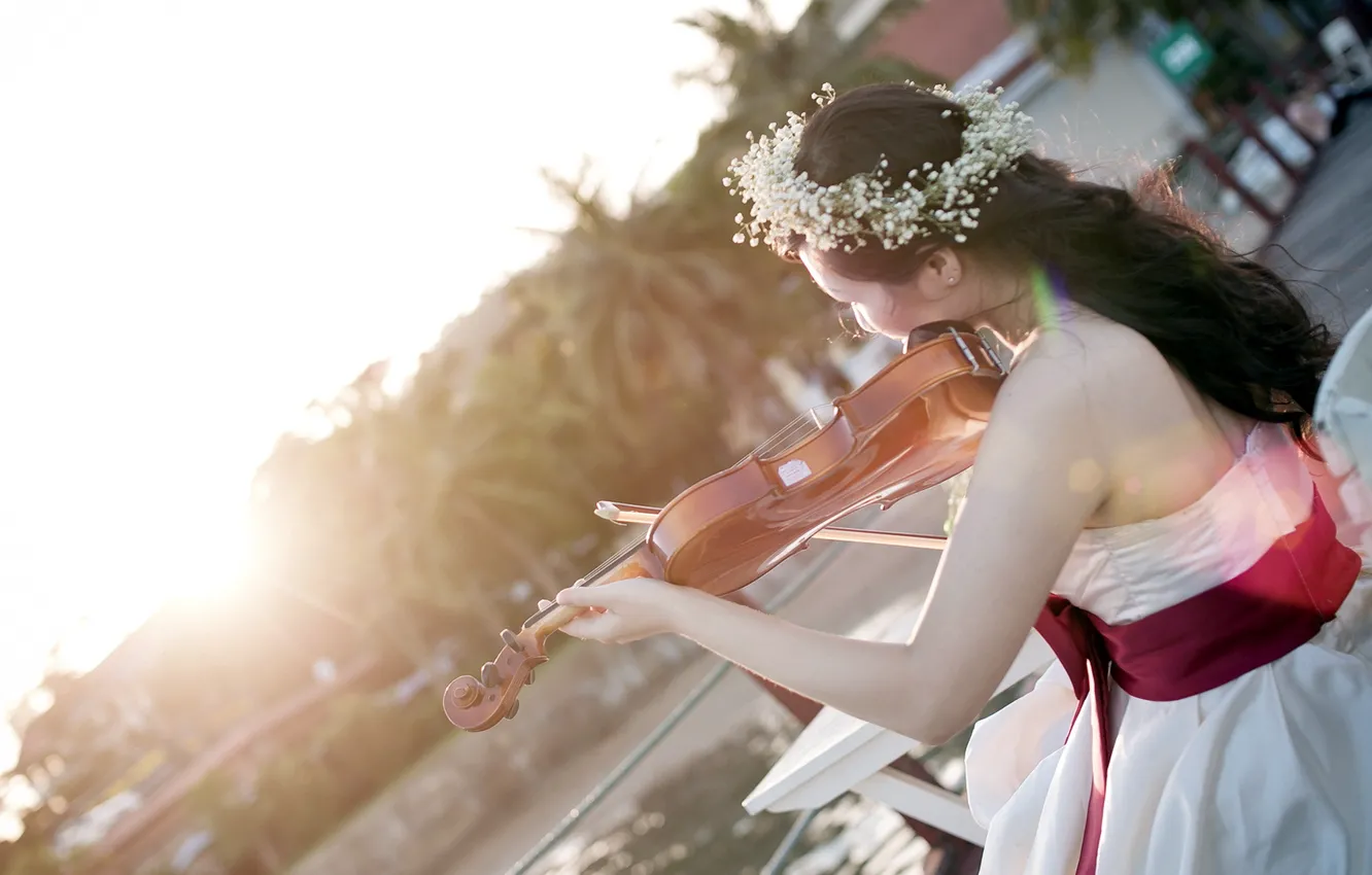 Фото обои девушка, свет, музыка, скрипка
