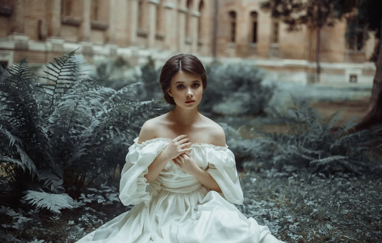 Фото обои girl, fantasy, fashion, glamour, hair, female, historical, gown