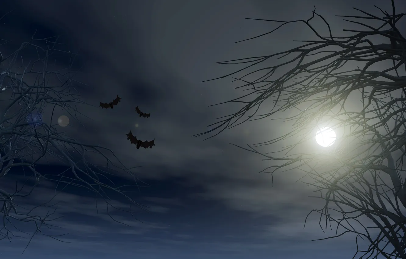 Фото обои Дерево, Ночь, Луна, Ветки, Halloween, Хэллоуин, Летучие мыши