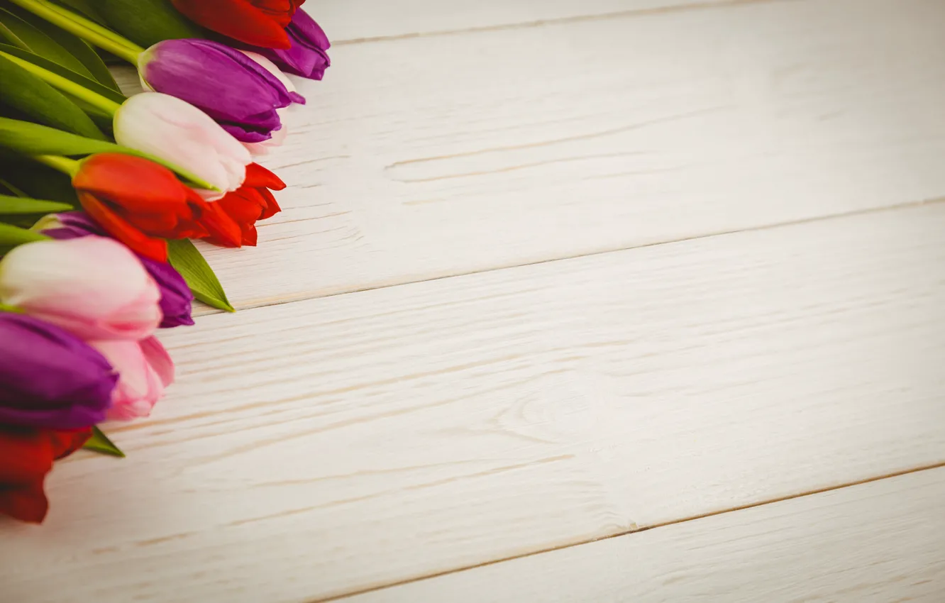 Фото обои цветы, букет, colorful, тюльпаны, red, white, wood, flowers