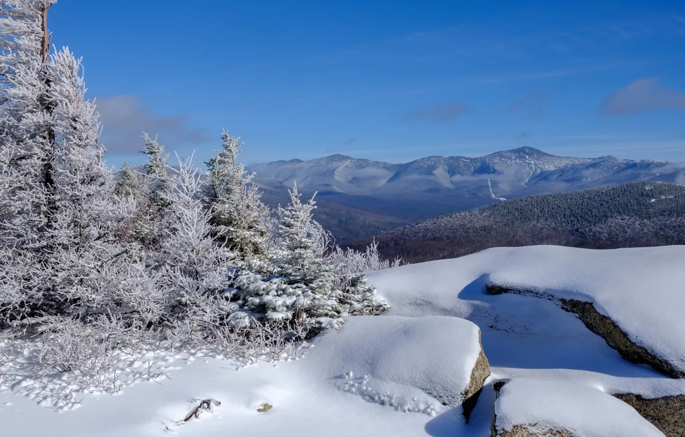 Фото обои зима, лес, снег, пейзаж, горы, панорама