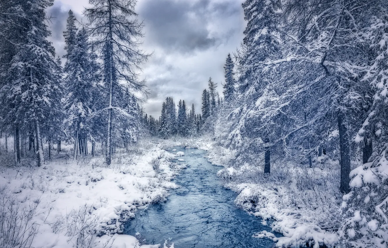 Фото обои зима, лес, снег, деревья, река, Канада, Canada, Quebec