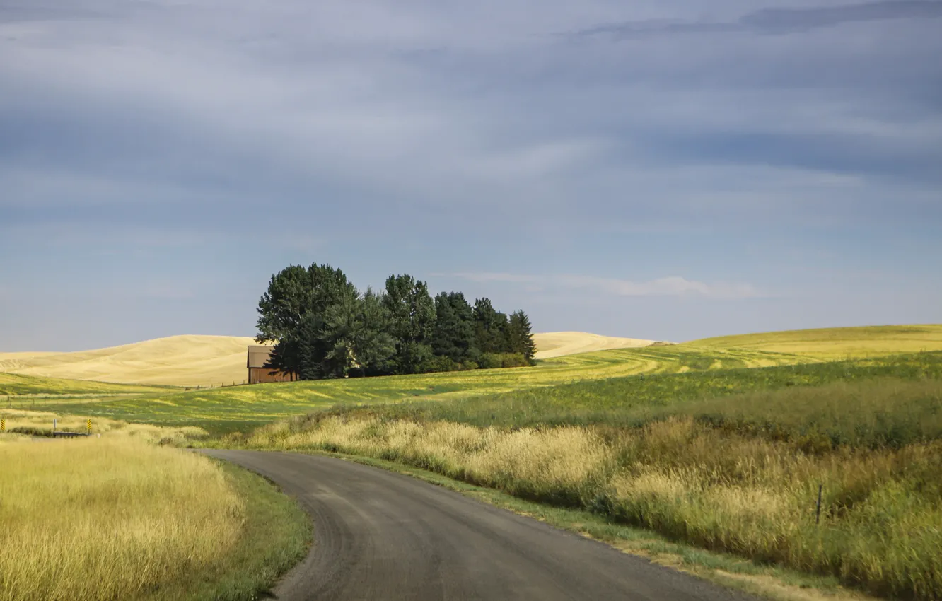 Фото обои road, cloudy, farmland, countryside scene