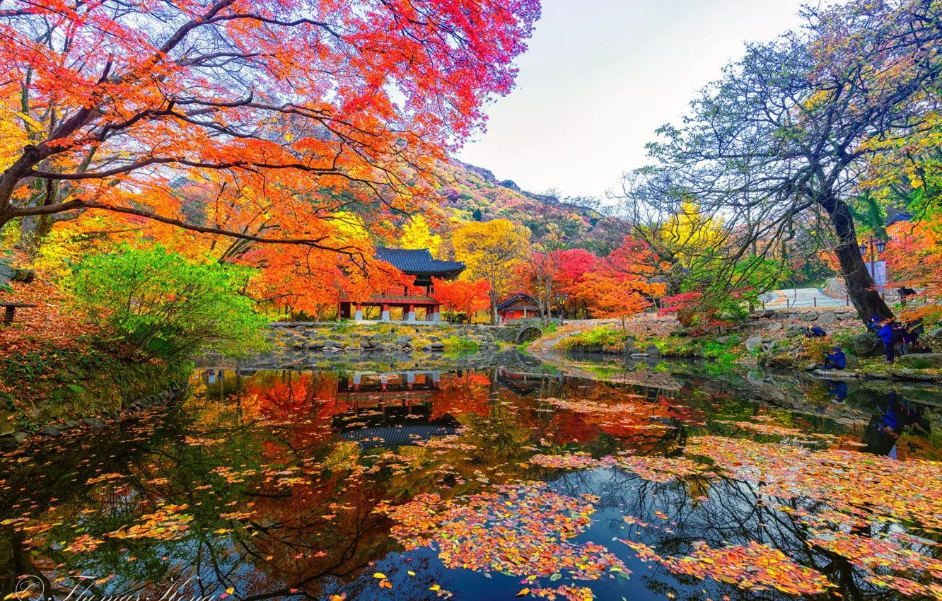 Фото обои пруд, беседка, South Korea, краски осени, Южная Корея, Naejangasan