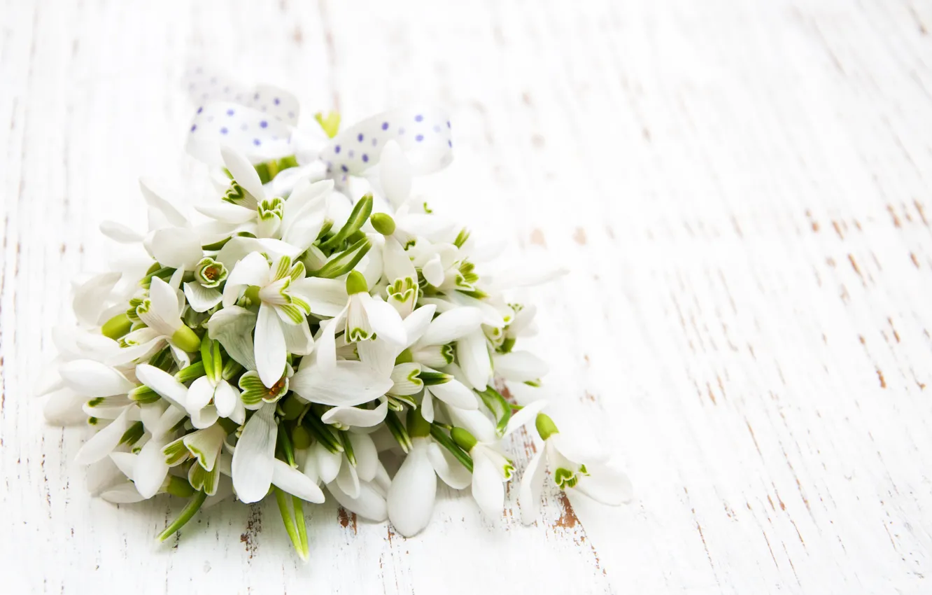 Фото обои цветы, букет, подснежники, white, белые, flowers, spring, snowdrops