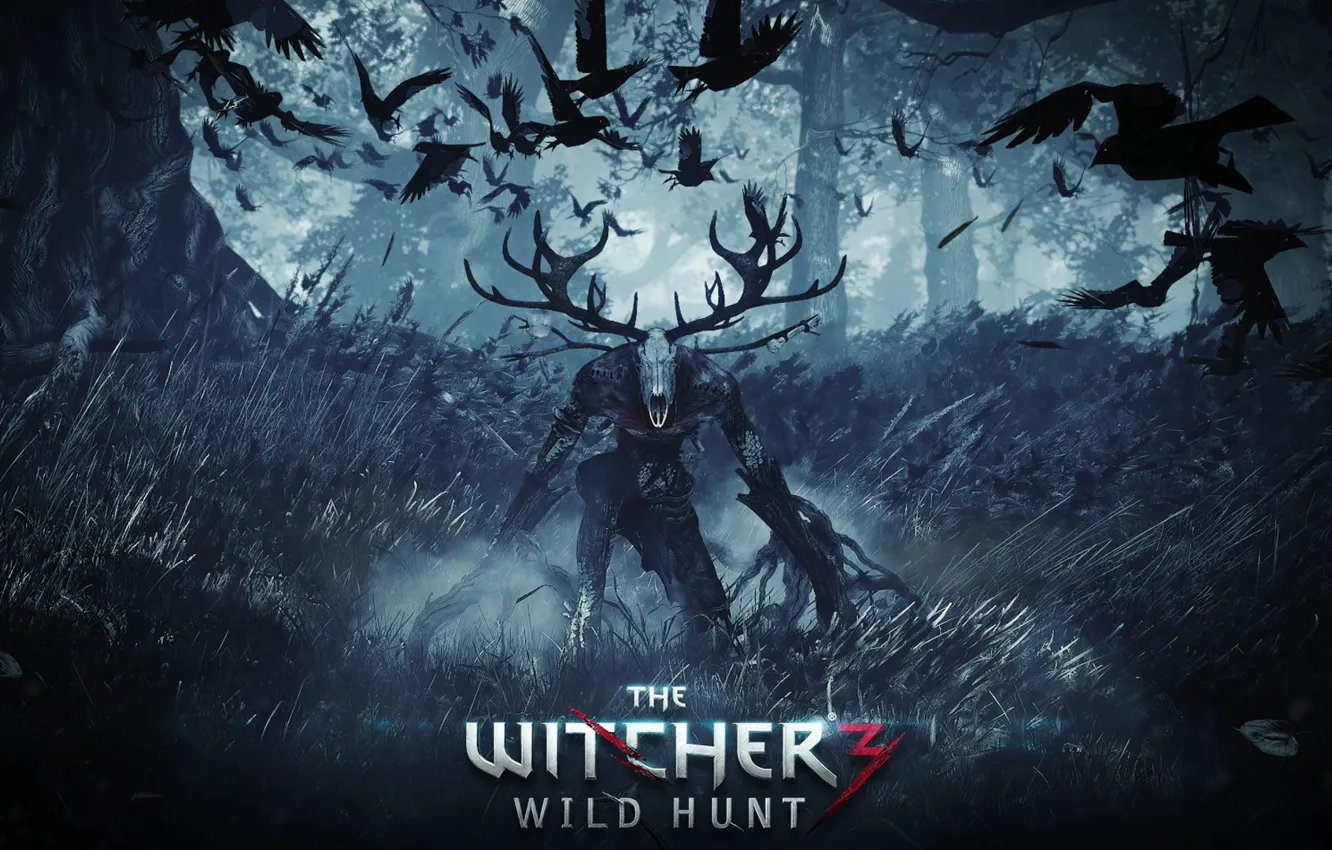 Фото обои Ведьмак, Witcher, The Witcher 3 Wild Hunt, Ведьмак 3 Дикая Охота