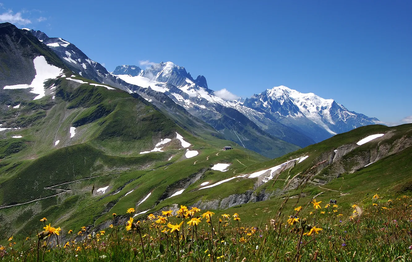 Фото обои цветы, горы, люди, склоны, весна, альпы