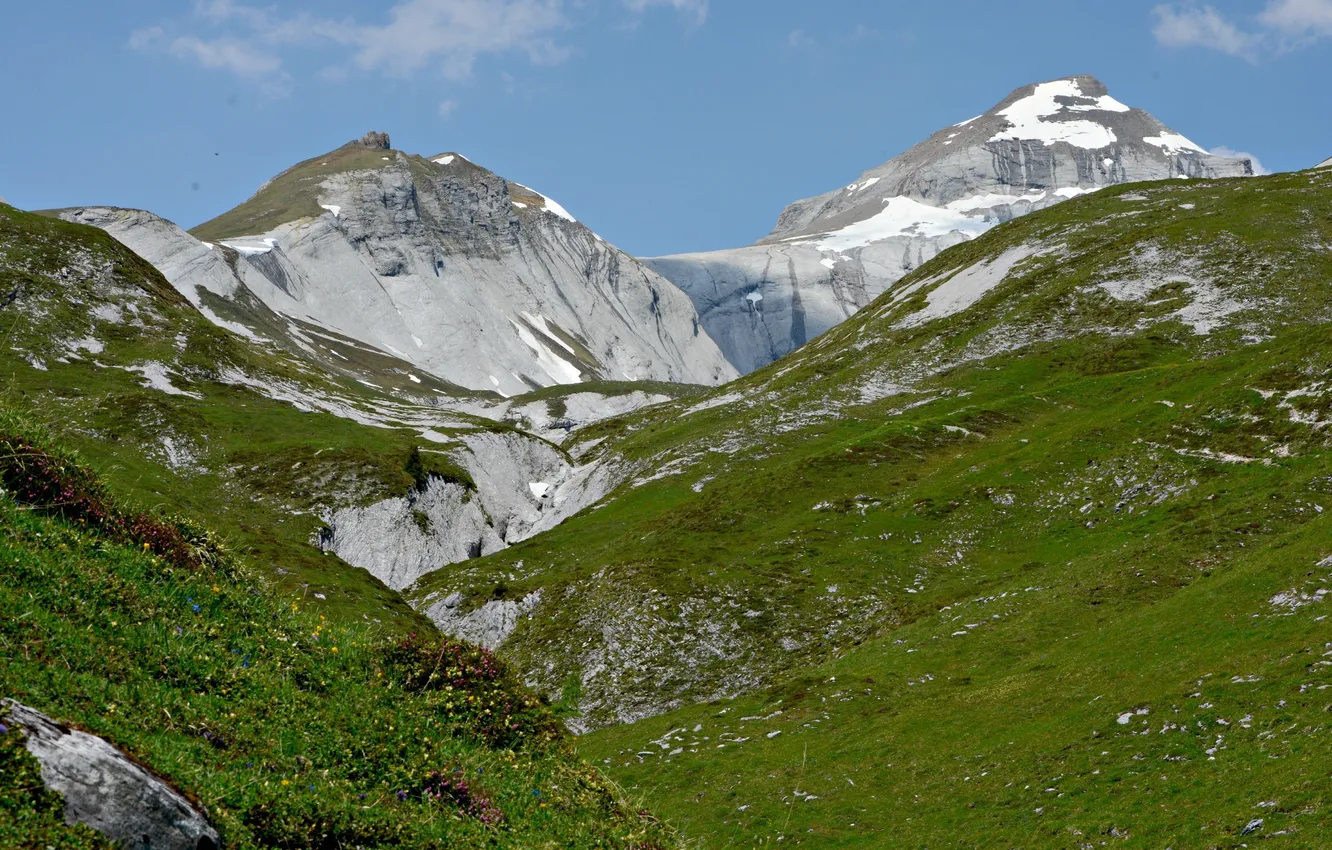 Фото обои небо, трава, снег, цветы, вершины, Италия, горная цепь, Монте Бальдо